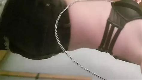 Free BDSM Gay Porn Videos XHamster