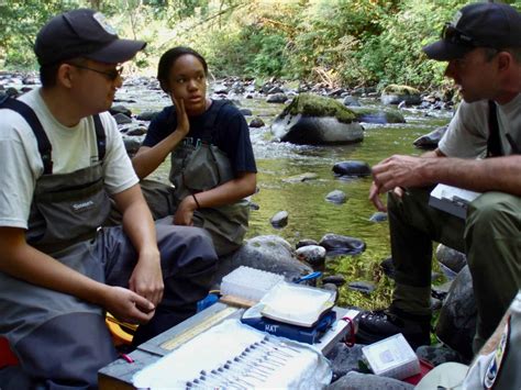 Free picture: researchers, biologists, field work