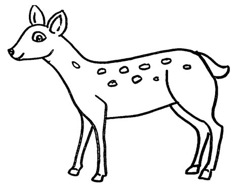 A Smiling Deer Coloring Page Download Print Or Color Online For Free