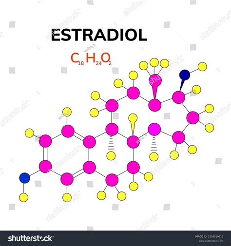 Estradiol Chemical Structure Woman Sex Hormone Stock Vector Royalty Free