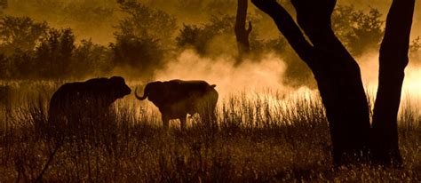 Orapa Travel Information