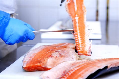 Производство филе лосося (семги) в пластах