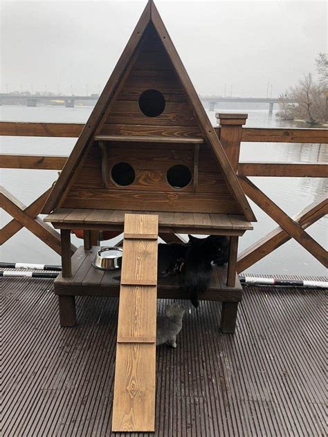 ≡ Зимний домик для кошки: цена, фото | Woodom