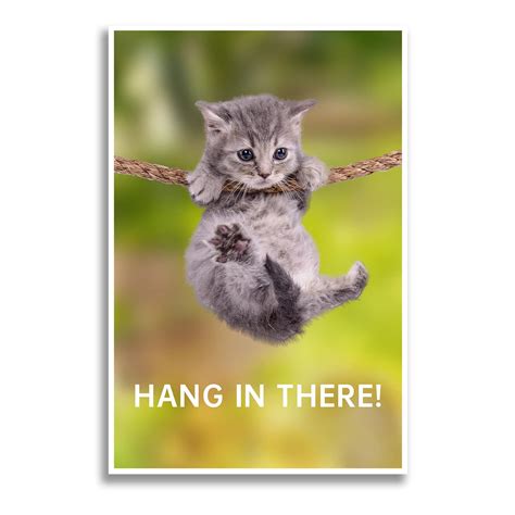 Amazon.com: Hang in There Cat Poster - Funny Cat Posters for Wall