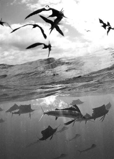 Over And Under Marc Montocchio