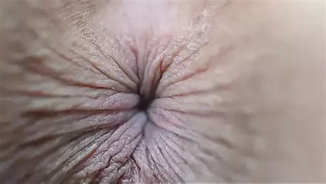 Versaute Anal Zusammenstellung Perverse Arschloch Sammlung XHamster