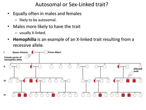 Ppt Chromosomal Inheritance Ii Powerpoint Presentation Free Download Id 2195824