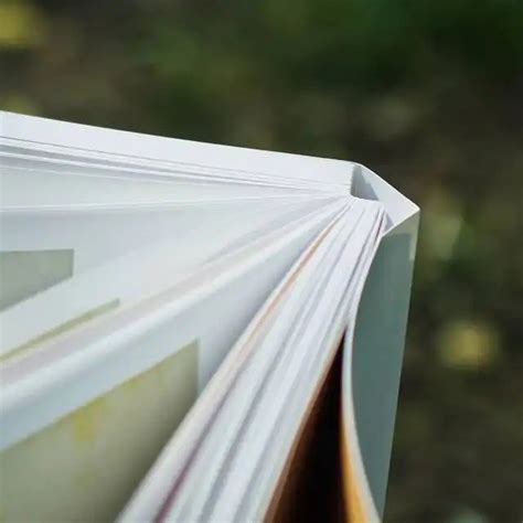 Reactive Bookbinding Hot Melt Adhesive Solvent Free Hot Glue For Book Binding