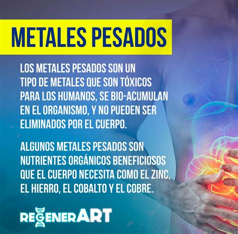El problema de los metales pesados