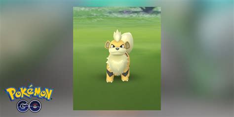 Unlock The Ultimate Shiny Growlithe Strategy For Pokemon Go Spotlight