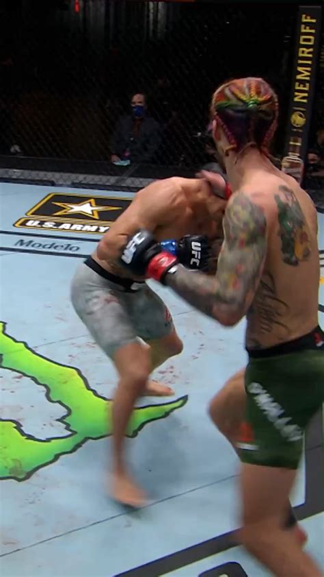 Sean O’Malley knockout highlights : r/ufc