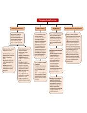 Actividad 3 Mapa Conceptual Contabilidad Y Finanzas Para Ingenieria