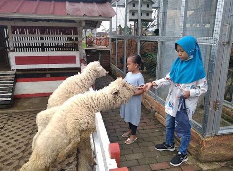 Wisata Edukasi Kebun Binatang Mini Saung Abah Apud