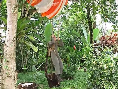 Edu Boxer Gay Porn Videos 2025 Porn Star Sex Scenes XHamster