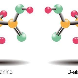 11. L-and D-stereoisomers of alanine. | Download Scientific Diagram