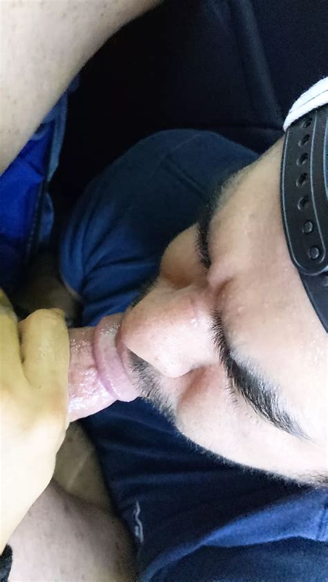 Backseat Bj Gay Blowjob Blowjob Porn Xhamster