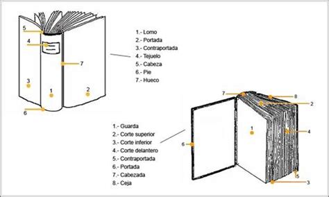 Partes De Un Libro Externas E Internas