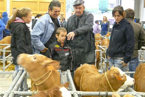 Saint Laurent De Chamousset Tradition Concours De Jugement De B Tail