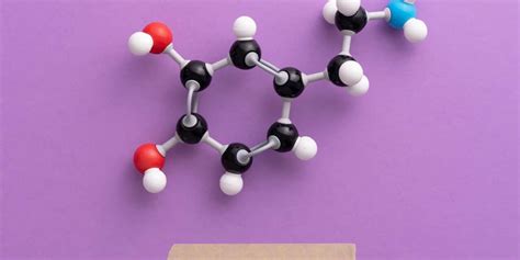 How Dopamine Triggers Sleep State Transitions Sleep Review