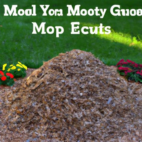 how much does it cost to mulch