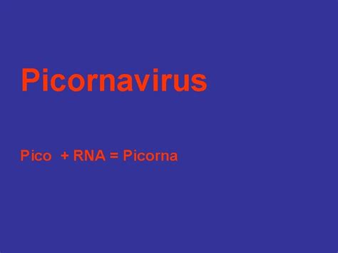 Picornavirus Pico Rna Picorna Virion Is A Naked