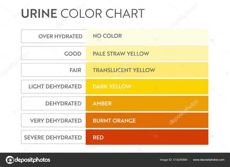 Urine Color Chart Stock Vector By ©kandella 514245684