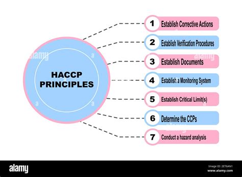 Diagram Concept With Haccp Principles Text And Keywords Eps 10