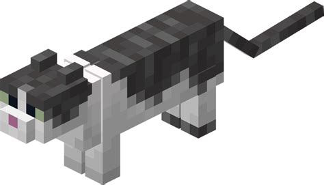 File:Minecraft Cat Jellie.png - Super Mario Wiki, the Mario encyclopedia