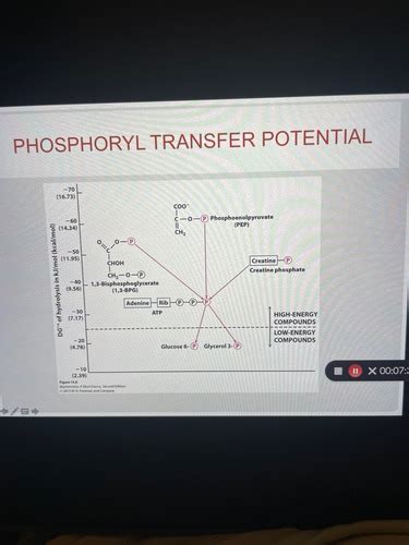 Biochem Exam 2 Flashcards Quizlet