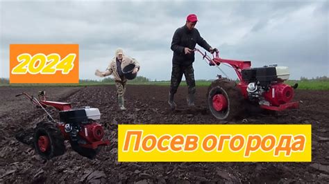 Посев огорода, мотоблоком мтз 🚜 - YouTube