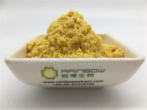 Zingiber Officinale Root extract gingerols powder bulk 25kg - Rainbow ...