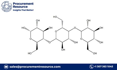 Dextrin Production Cost Analysis Report, Manufacturing Process