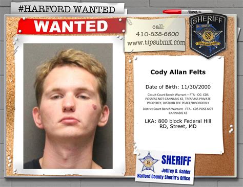 harford county aegis classifieds 3