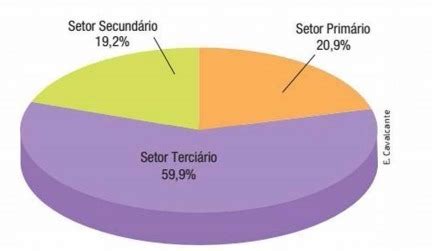 O Setor Terciário Da Economia Brasileira É