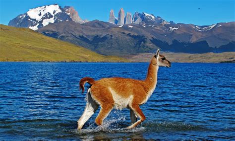 Patagonia | Tours | WWF