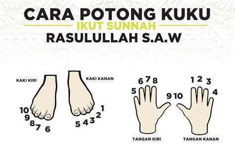 Potong Kuku Ikut Sunnah Rasulullah S.A.W - Xhanxeli Network