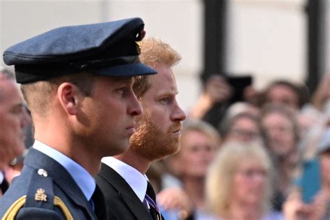 Years Later William And Harry Walk Together Behind A Loved Ones