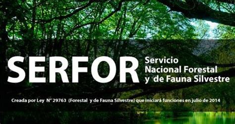 El Servicio Nacional Forestal Y De Fauna Silvestre SERFOR Convoca A