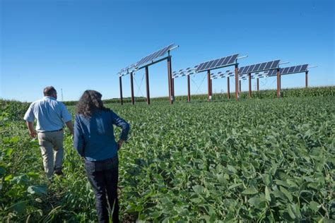 Purdue Leading Research To Grow Solar And Crops Together In Corn Belt