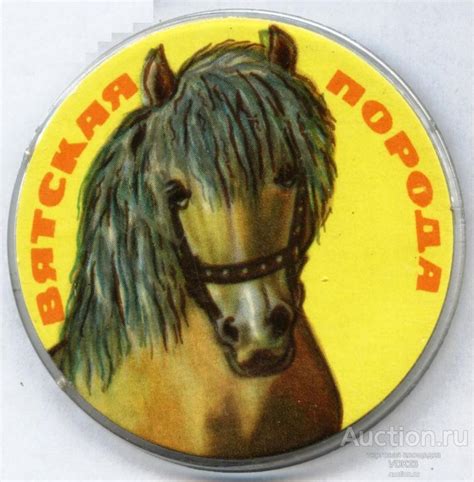 Значок Лошадь Конь Вятская порода — покупайте на Auction.ru по выгодной ...