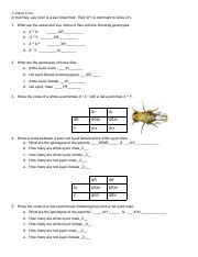 Sex Linked Traits Pdf X Linked Traits In Fruit Flies Eye Color Is A Sex Linked Trait Red Xr