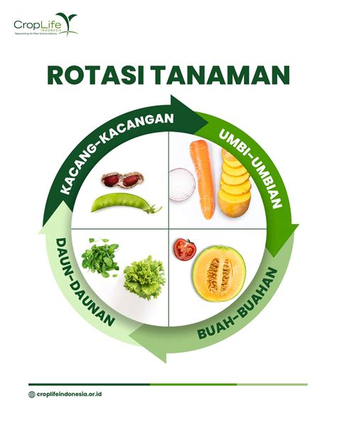 CropLife - Ada #SahabatCropLife yang pernah dengar nasihat, “Jangan