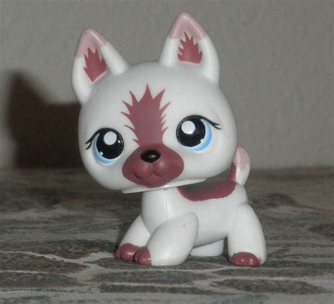 Collectomania: LPS Dogs Part 2