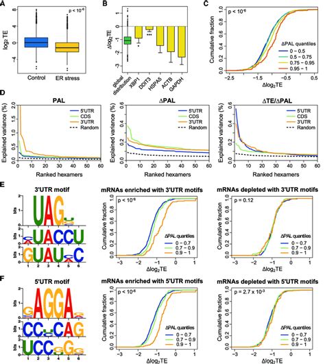 Translational De Repression Of MRNAs With Increased Poly A Length A