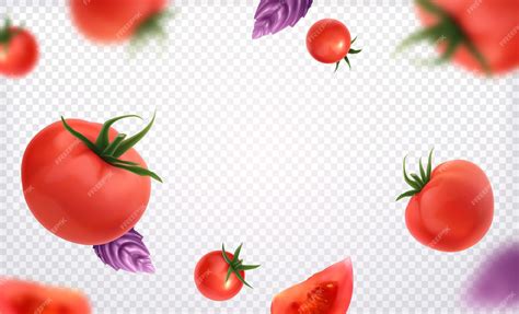 Свежие красные целые и нарезанные помидоры с зеленой веточкой и ...