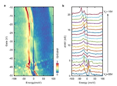 Spectroscopic Signatures Of Many Body Correlations In Magic Angle Twisted Bilayer Graphene