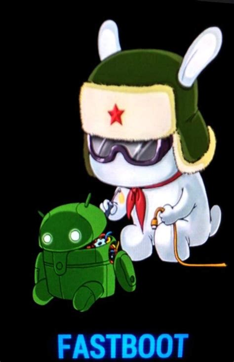 FASTBOOT Modus beim Xiaomi Handy? (Daten, flashen)