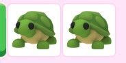 Beli Pet Turtle Pet Adopt Me Adopt Me Roblox Trading Hub Terlengkap Dan