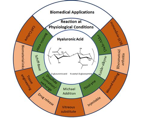 Biomedicines Free Full Text Hyaluronic Acid Hydrogels Crosslinked