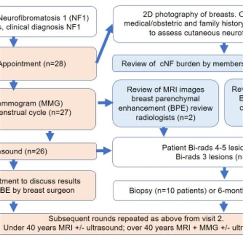 Flow Chart Of Study Protocol Orange Boxes Represents Patient Visits